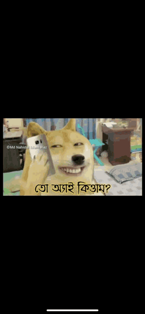 a dog is laughing while talking on a cell phone in a bedroom