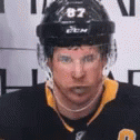Sidney Crosby Chipmunk GIF - Sidney Crosby Chipmunk Pittsburgh Penguins GIFs