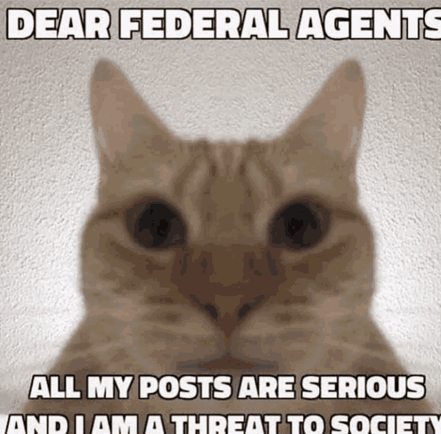 a cat with a caption that says dear federal agents
