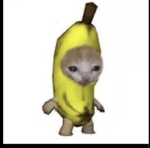 Banana Cat GIF - Banana cat - Discover & Share GIFs