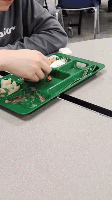 a person sitting at a table with a green tray of food