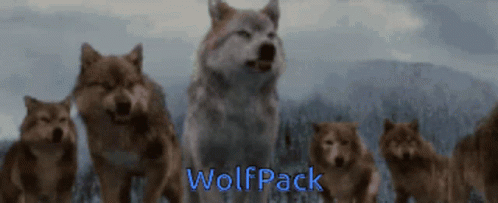 Wolfpack GIF - Wolfpack GIFs