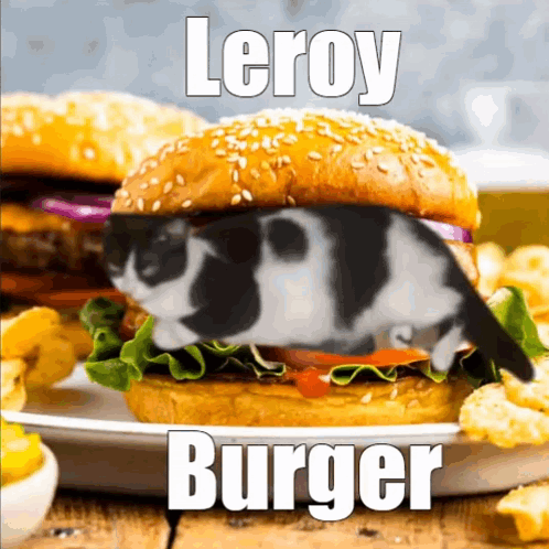 Leroy Burger Cat Funny GIF