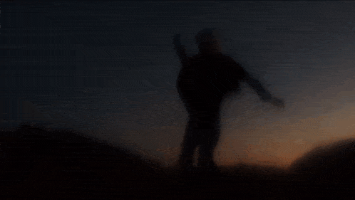 a silhouette of a person standing in a foggy field