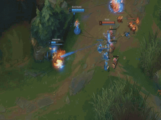 a screenshot of a league of legends game shows a few players including black wraith