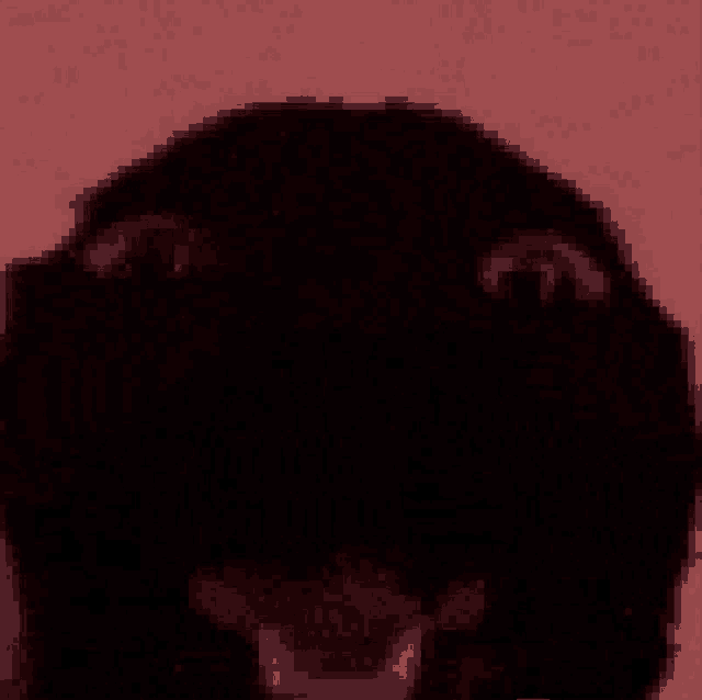 a close up of a black dog 's face with its mouth open .