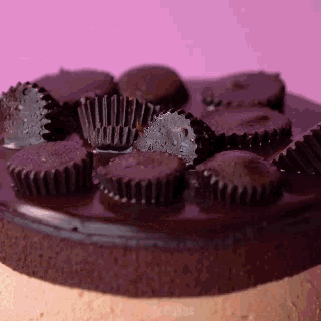 a close up of a chocolate cake with peanut butter cups on top