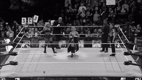 a woman in a wrestling ring has a sign that says scb on it