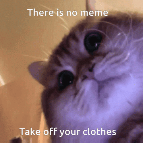 Clothes Meme GIF - Clothes Meme GIFs