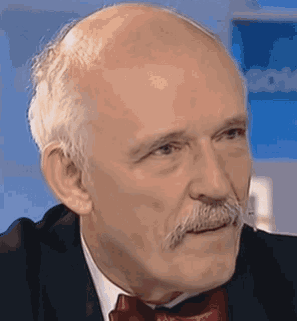 a bald man with a mustache wearing a suit and bow tie