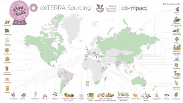 a map of the world showing different types of herbs