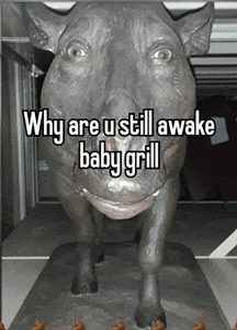 a statue of a rhino with the words " why are u still awake baby grill " below it