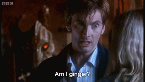 Am I Ginger? GIF - Doctor Who David GIFs