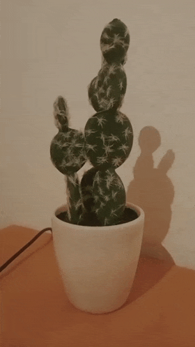 a small cactus plant in a white pot on a table