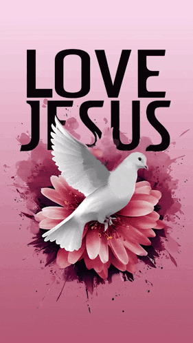 a dove is sitting on a pink flower with the words love jesus written above it