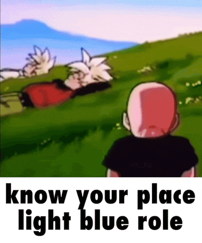 a cartoon of a man standing in a field with a caption that says `` know your place light blue role ''