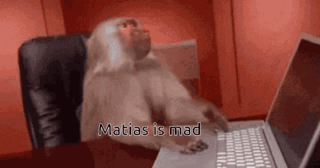 Mad Matias GIF - Mad Matias Triggered GIFs