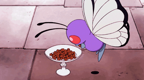 a purple butterfly is eating beans from a white bowl