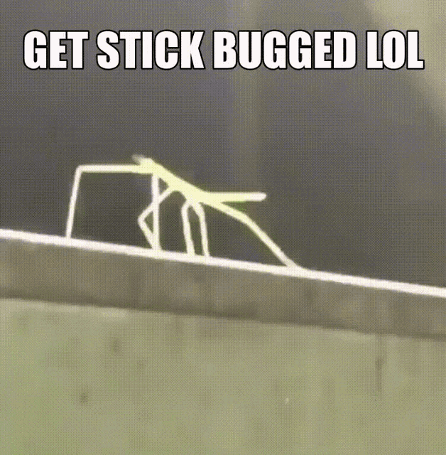 get-stick-bugged-lol.gif
