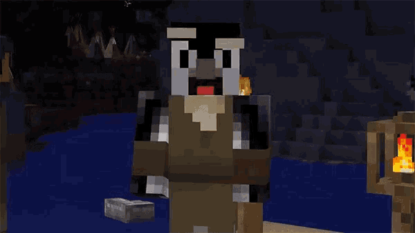 a minecraft character is standing in a cave with a torch in the background