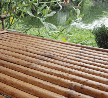 a wooden surface with water drops on it and a pond in the background