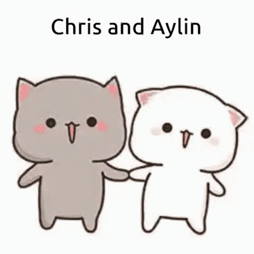 Aylin Chris GIF - Aylin Chris Couple GIFs