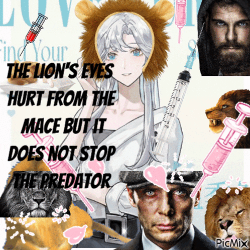 the lion 's eyes hurt from the mace but it does not stop the predator picmix