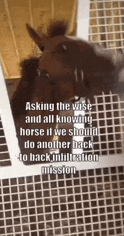 a horse is standing in a fenced in area with a quote written on it .