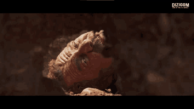 a man with a beard is laying in the dirt with dizigom written on the bottom right
