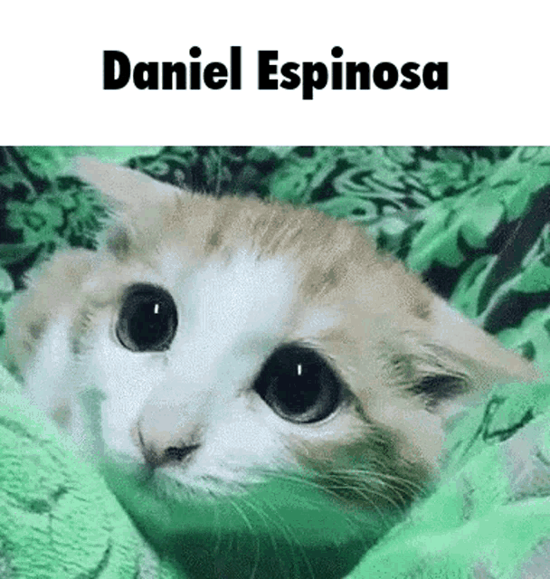 Daniel Espinosa GIF - Daniel Espinosa GIFs