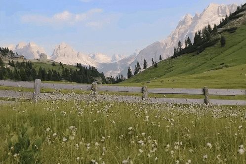 a wooden fence in a field with mountains in the background