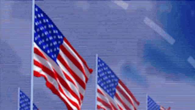 America 4th Of July GIF - America 4th Of July Independence Day GIFs