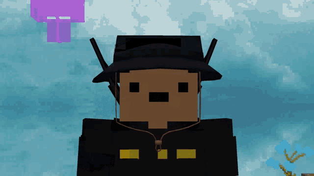 a minecraft character wearing a black hat and a black shirt