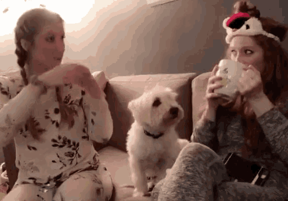 two women are sitting on a couch with a dog and one of them is drinking from a cup with the letter g on it