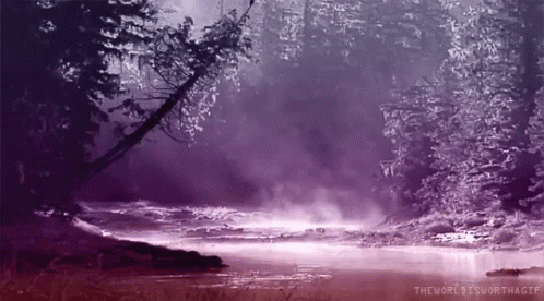 Lake Forest GIF - Lake Forest Water GIFs