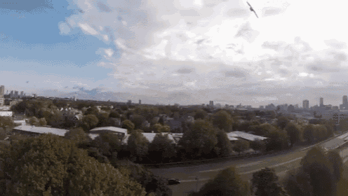 Master Of The Sky GIF - Attack Hawk Drones GIFs