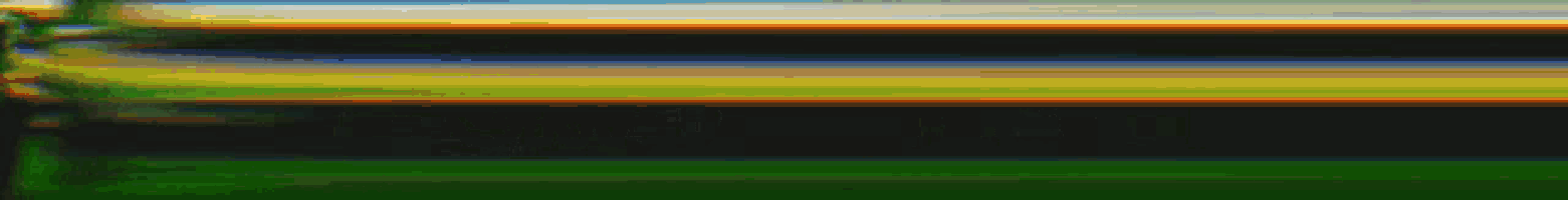a green background with the words 411 ghost battalion in white letters