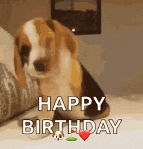 a beagle puppy sitting on a bed with the words happy birthday written on it