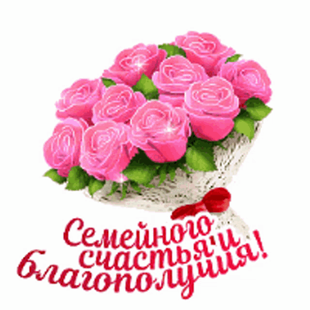 a bouquet of pink roses on a white background with a red bow