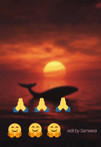 a sunset with a whale in the background and the words goodm rnin all fyo hav av r be ti uld y
