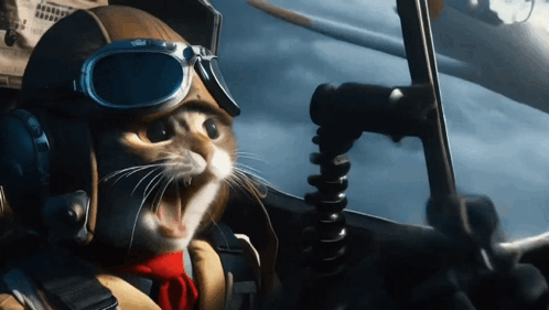 Cat Pilot Tanja Norn GIF - Cat Pilot Pilot Tanja Norn GIFs