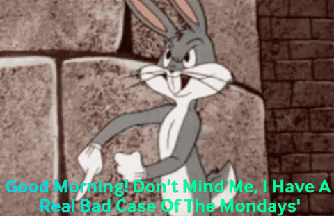 Mondays Good Monday Morning GIF - Mondays Good Monday Morning Another Monday GIFs