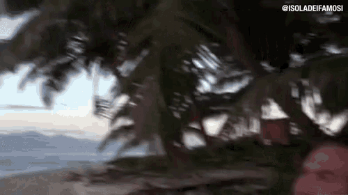 a blurry picture of a man standing on a beach surrounded by palm trees .