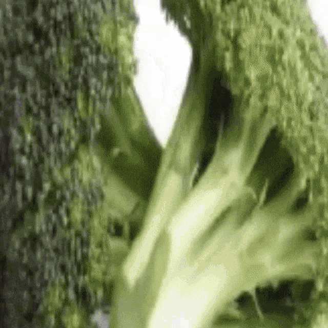 Broccoli GIF - Broccoli GIFs