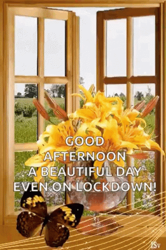 Good Afternoon Flowers GIF - Good Afternoon Flowers Beautiful Day GIFs