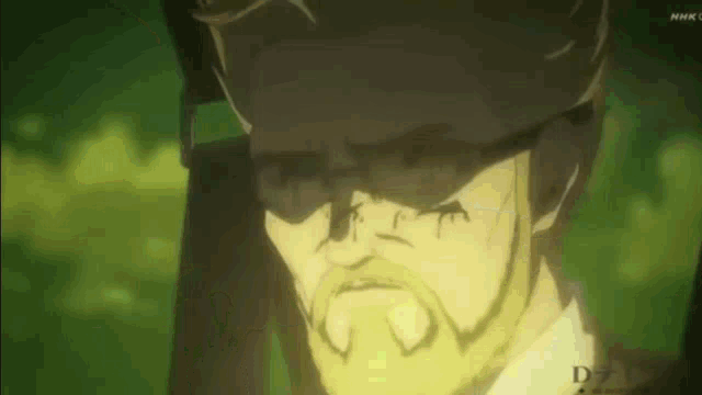 a man with a beard is wearing glasses and a hat and has a shadow on his face .