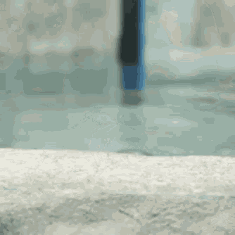 a small penguin is standing on a rock looking at the camera .