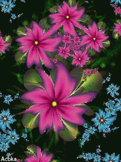 a bunch of pink flowers on a black background with acbka written on the bottom