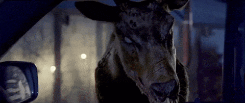 a goat with glowing eyes is sitting in the driver 's seat of a car at night .