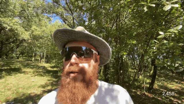 a man with a beard wearing sunglasses and a hat is standing in a forest
